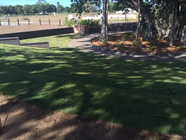 Premium Townsville turf
