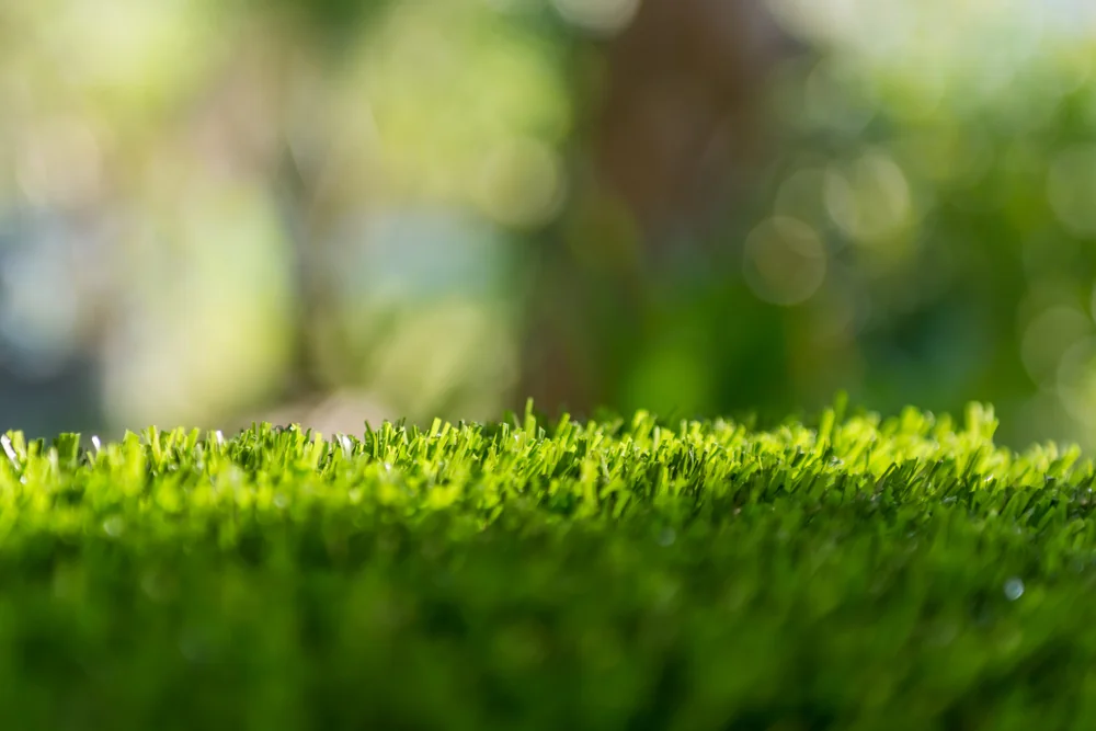 Premium Townsville turf